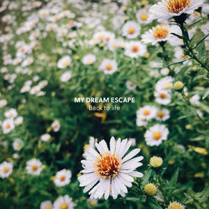 janpense女厕撒尿
